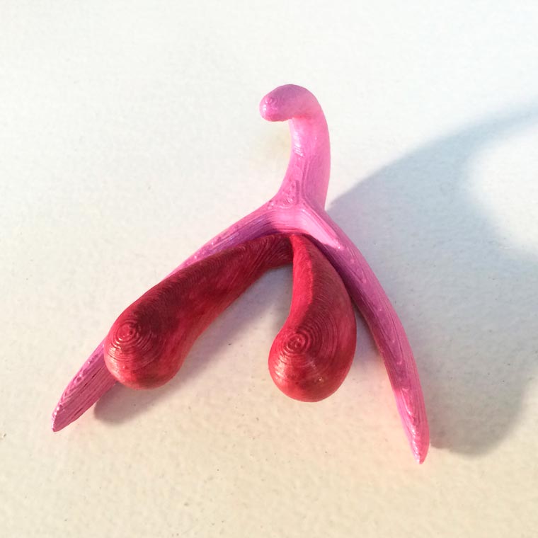 3D Printed Clitoris (Image: https://www.zmescience.com)