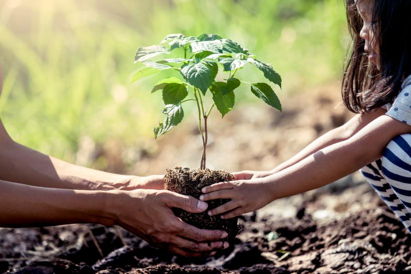 "We can all do our part for a healthier planet, even if we just start with planting a single seed."