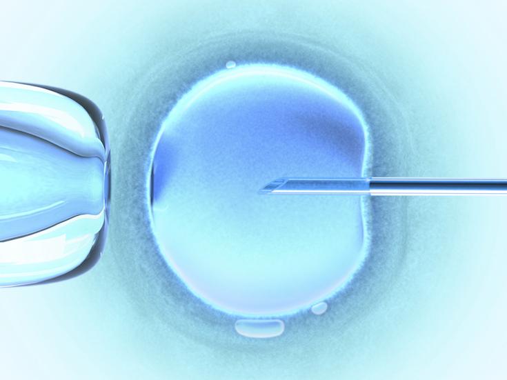 frozen-embryos-don-t-have-rights-women-do-ravishly