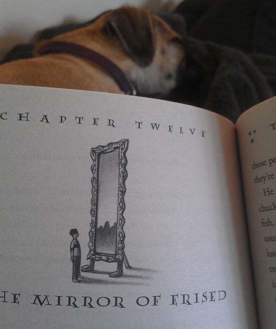 A Grown-A** Woman Reads Harry Potter For The First Time: Mirrors, Malfoys,  Unexpected Feels