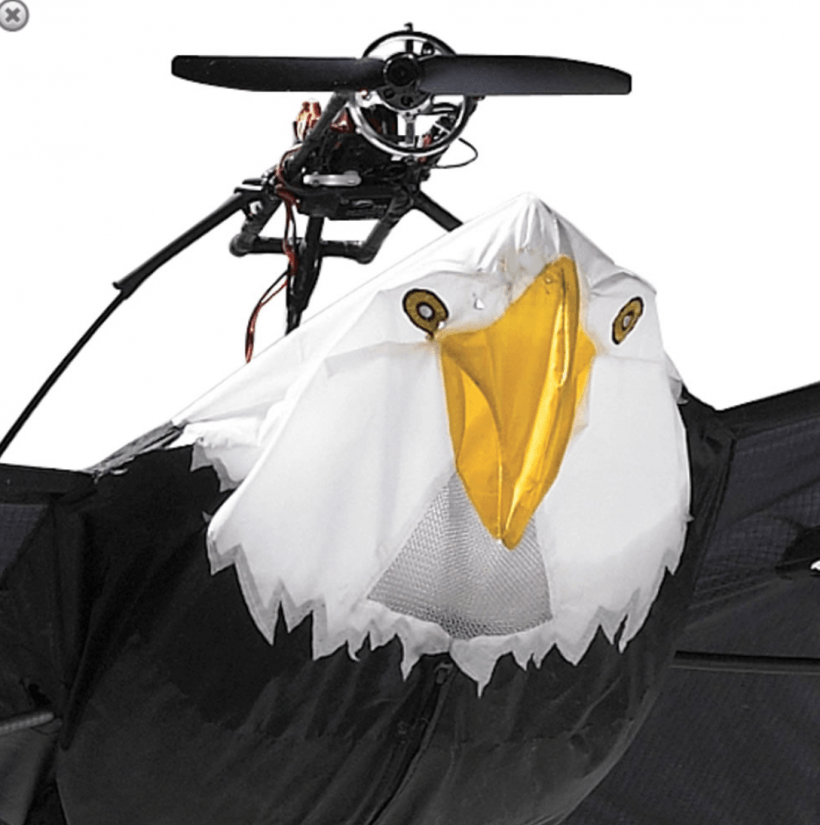 The 9 1/2 Foot Remote Controlled Bald Eagle