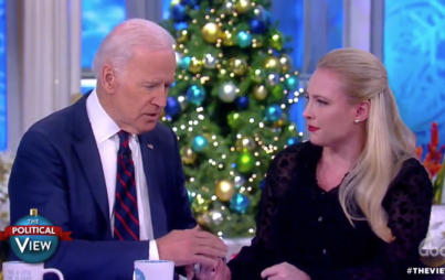 Joe Biden and Meghan McCain on The View