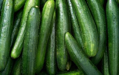 These cucumbers are a euphemism! Or a sex toy all on their own — your choice!
